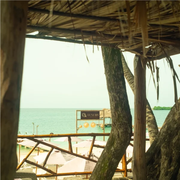 PASADÍA LUXURY OPEN BAR VIP