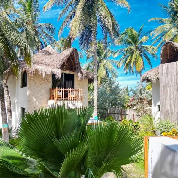 PASADÍA PALMARITO VIP