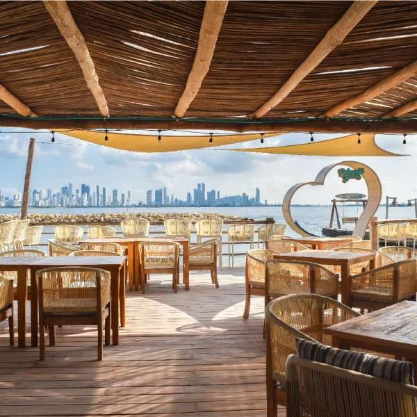 PASADÍA PALMARITO VIP